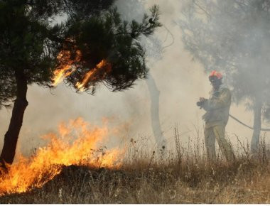 Φωτιά καίει δασική έκταση στην Αιγιαλεία
